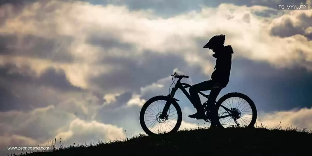 🏀 汗水与荣耀,直播间见!